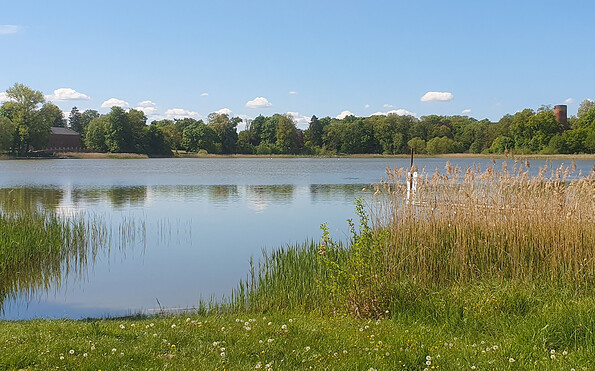 Blick auf den Haussee Wolfshagen, Foto: Beike