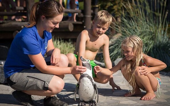 Penguin in the Spreewelten Bad Lübbenau, Foto: Manuel Frauendorf Fotografie