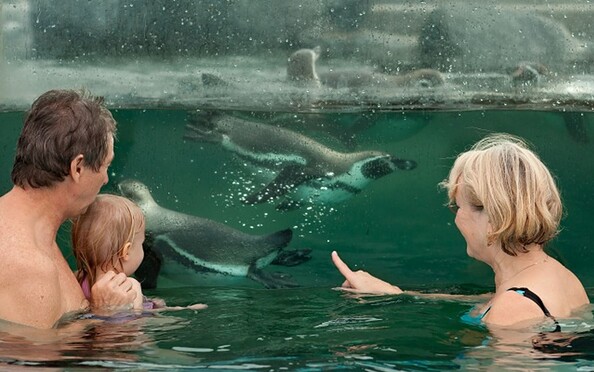 Spreewelten Bad Lübbenau, Foto: Spreewelten GmbH