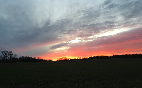 See am Abend, Foto: Campingplatz am Deulowitzer See