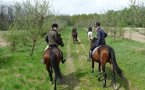 Ausritt im Reit- &amp; Pensionsstall Gut Klostermühle, Foto:  Foto: Madlitzer Mühle Betriebs GmbH &amp; Co. KG