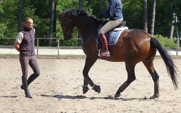 Dressurunterricht im Reit- &amp; Pensionsstall Gut Klostermühle, Foto:  Foto: Madlitzer Mühle Betriebs GmbH &amp; Co. KG