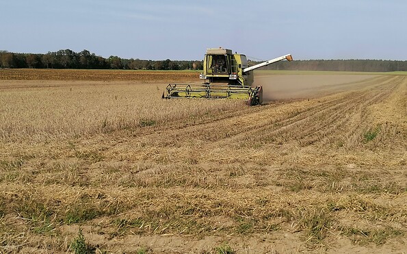 Mähdrescher bei der Ernte, Foto: Marleen Herzlieb