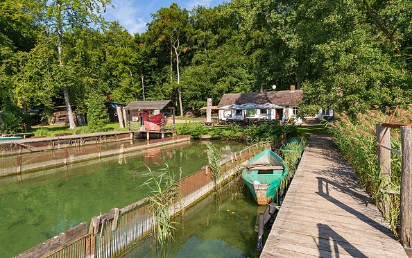 Fischerei am Stechlinsee, Foto: TMB-Fotoarchiv/Steffen Lehmann