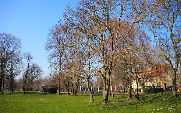 Blick in den Park hinter dem Schloss, Foto: Tourismusverband Fläming e.V.