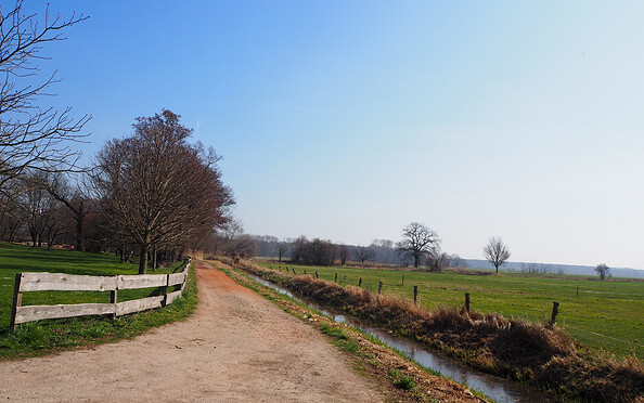 Wanderwege Diedersdorfer Heide, Foto: Tourismusverband Fläming e.V.