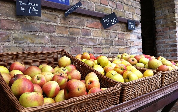 Neumanns Erntegarten, Foto: Jan Hoffmann, Lizenz: TMB Tourismus-Marketing Brandenburg