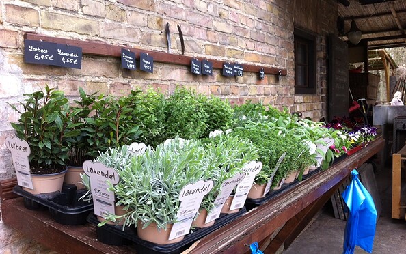 Neumanns Erntegarten, Foto: Jan Hoffmann, Lizenz: TMB Tourismus-Marketing Brandenburg