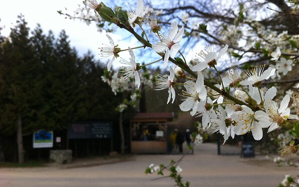 Neumanns Erntegarten, Foto: Jan Hoffmann, Lizenz: TMB Tourismus-Marketing Brandenburg