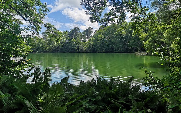 Naturcamping in Lychen, Foto: Merith Sommer, Lizenz: TMU GmbH