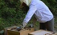 Imker Grune, Foto: Imkerei Grune