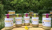 Honig Grune, Foto: Imkerei Grune