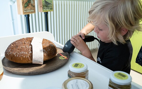 Naturparkausstellung zum Anfassen, Foto: Julia Borchardt / vivografie.de, Lizenz: Naturparkverein Hoher Fläming e.V.