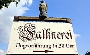 Die Greifvogelflugshow ist ein Erlebnis, Foto: Bansen/Wittig, Lizenz: Tourismusverein Brandenburg