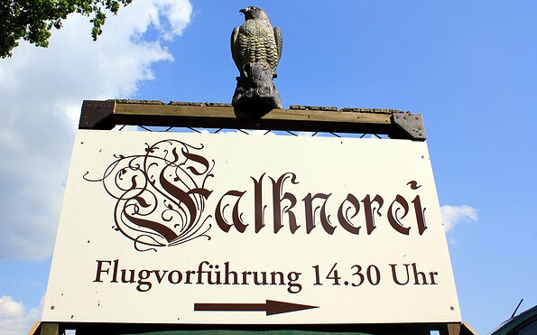 Die Greifvogelflugshow ist ein Erlebnis, Foto: Bansen/Wittig, Lizenz: Tourismusverein Brandenburg