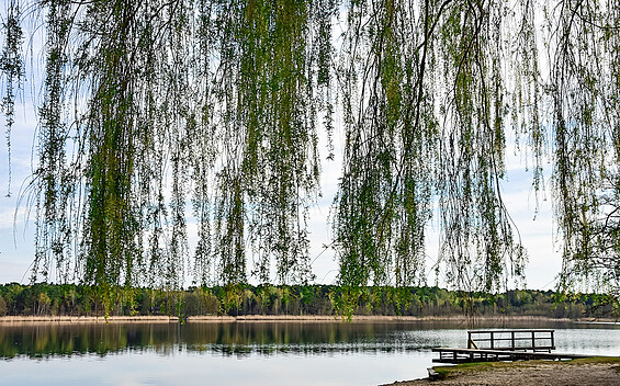 Lake Köthen, Foto: Sandra Fonarob, Lizenz: Tourismusverband Dahme-Seenland e.V.