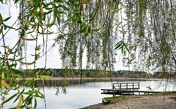 Steg am Köthener See, Foto: Sandra Fonarob