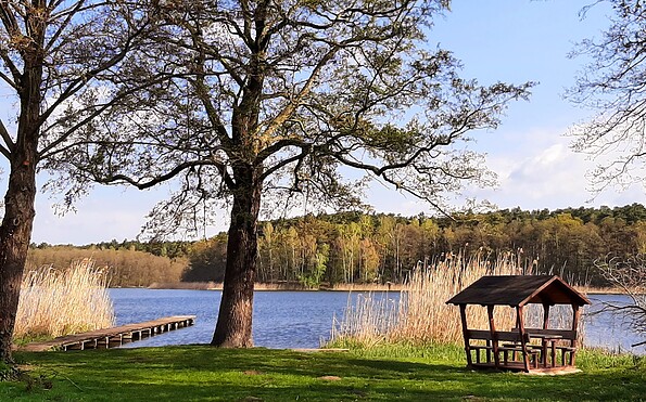 Die Naturwelt Tour, Foto: Christiane Bramer, Lizenz: Naturwelt Lieberoser Heide