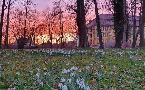 Schloss Lieberose, Foto: Christiane Bramer, Lizenz: Naturwelt Lieberoser Heide GmbH