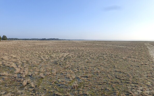 Lieberoser Wüste, Foto: Christiane Bramer, Lizenz: Naturwelt Lieberoser Heide GmbH