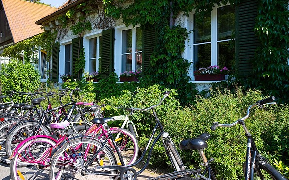 Bicycle rental, Foto: Jones Art, Lizenz: Hotel Döllnsee GmbH &amp; Co. KG
