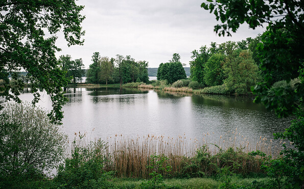 Gutspark Petzow - Haussee, Foto: Steven Ritzer, Lizenz: Tourismusverband Havelland e.V.