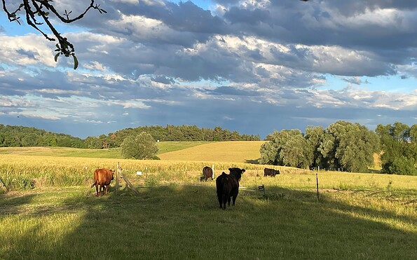 Aussicht vom Grundstück, Foto: Andrea Frick, Lizenz: Andrea Frick