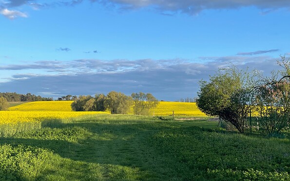 Aussicht vom Grundstück, Foto: Andrea Frick, Lizenz: Andrea Frick