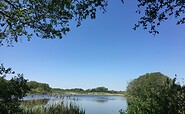 Ausblick in den Park um die Wasserburg Gerswalde, Foto: Anet Hoppe, Lizenz: TMU GmbH