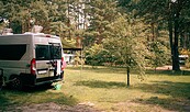Waldcampingplatz, Foto: Julia Seidlitz, Lizenz: Wald- und Naturcampingplatz am Tonsee Süd