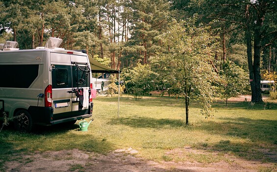 Foto: Julia Seidlitz, Lizenz: Wald- und Naturcampingplatz am Tonsee Süd