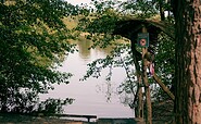 Badestelle am Campingplatz, Foto: Julia Seidlitz, Lizenz: Wald- und Naturcampingplatz am Tonsee Süd