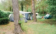 Stellplätze, Foto: Julia Seidlitz, Lizenz: Wald- und Naturcampingplatz am Tonsee Süd