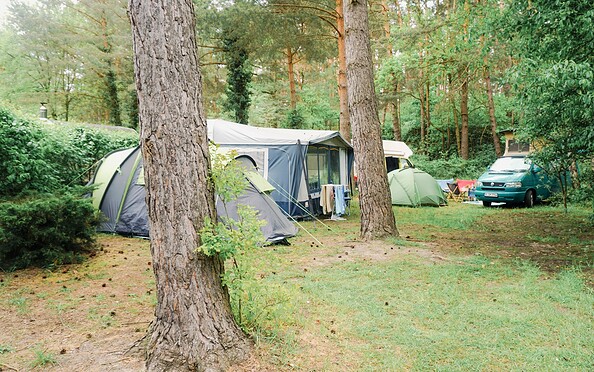 Stellplätze, Foto: Julia Seidlitz, Lizenz: Wald- und Naturcampingplatz am Tonsee Süd