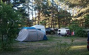 Zeltstellplätze, Foto: Julia Seidlitz, Lizenz: Wald- und Naturcampingplatz am Tonsee Süd
