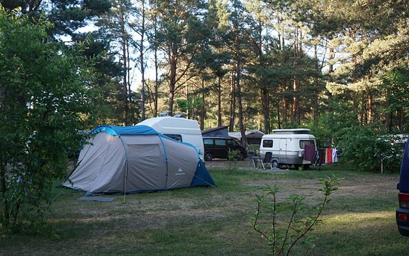 Zeltstellplätze, Foto: Julia Seidlitz, Lizenz: Wald- und Naturcampingplatz am Tonsee Süd
