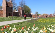 Park am Bleichwall, Foto: Stadt Wittstock/Dosse, Lizenz: Wirtschaftsfördergesellschaft Prignitz mbH