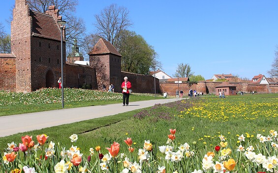 Park am Bleichwall, Foto: Stadt Wittstock/Dosse, Lizenz: Wirtschaftsfördergesellschaft Prignitz mbH