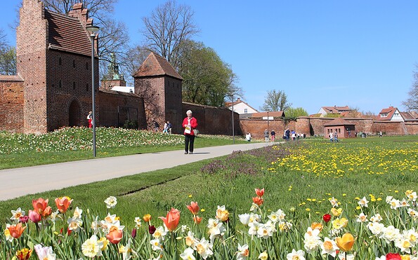 Park am Bleichwall, Foto: Stadt Wittstock/Dosse, Lizenz: Wirtschaftsfördergesellschaft Prignitz mbH