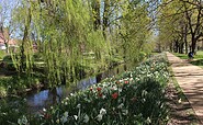 Friedrich-Ebert-Park, Foto: Stadt Wittstock/Dosse, Lizenz: Wirtschaftsfördergesellschaft Prignitz mbH