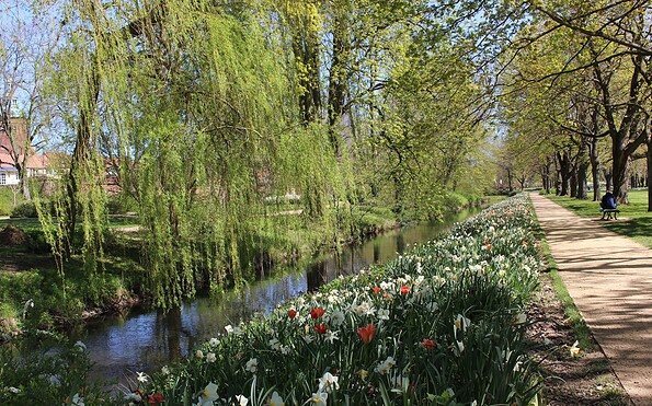 Friedrich-Ebert-Park, Foto: Stadt Wittstock/Dosse, Lizenz: Wirtschaftsfördergesellschaft Prignitz mbH