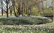 Friedrich-Ebert-Park, Foto: Stadt Wittstock/Dosse, Lizenz: Wirtschaftsfördergesellschaft Prignitz mbH