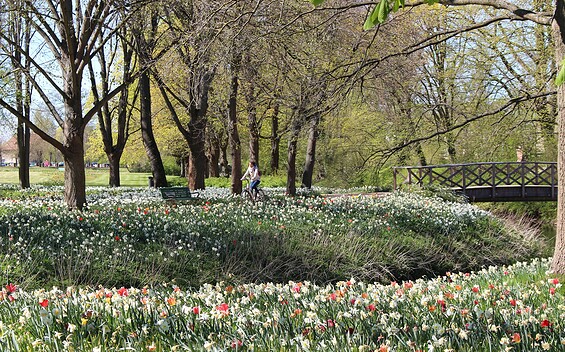 Friedrich-Ebert-Park, Foto: Stadt Wittstock/Dosse, Lizenz: Wirtschaftsfördergesellschaft Prignitz mbH