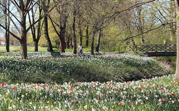 Friedrich-Ebert-Park, Foto: Stadt Wittstock/Dosse, Lizenz: Wirtschaftsfördergesellschaft Prignitz mbH
