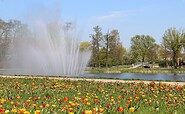 Dosseteich im Frühling, Foto: Stadt Wittstock/Dosse, Lizenz: Wirtschaftsfördergesellschaft Prignitz mbH