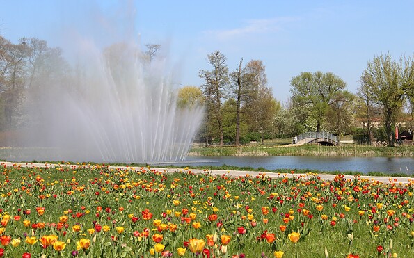 Dosseteich im Frühling, Foto: Stadt Wittstock/Dosse, Lizenz: Wirtschaftsfördergesellschaft Prignitz mbH