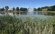 Dosseteich, Foto: Stadt Wittstock/Dosse, Lizenz: Wirtschaftsfördergesellschaft Prignitz mbH