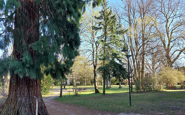 Gutspark Bad Wilsnack, Foto: Mandy Schmidt, Lizenz: Wirtschaftsfördergesellschaft Prignitz mbH