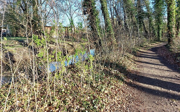 Mühlendammpark, Foto: Mandy Schmidt, Lizenz: Wirtschaftsfördergesellschaft Prignitz mbH