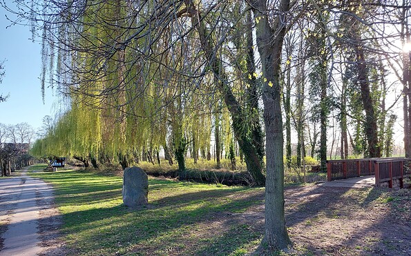 Mühlendammpark, Foto: Mandy Schmidt, Lizenz: Wirtschaftsfördergesellschaft Prignitz mbH